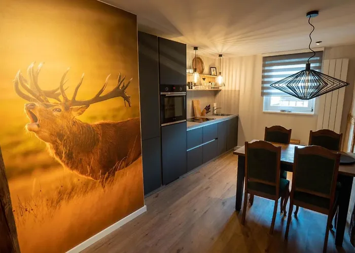 Ferienwohnung Rathausblick 2 Mit Infrarot-Kabine